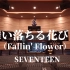 在百万豪装录音棚大声听 SEVENTEEN《舞い落ちる花びら（Fallin' Flower）》【Hi-res】
