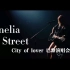 Taylorswift 霉霉 歌曲 Cornelia Street City of lover巴黎演唱会现场版 自制中英