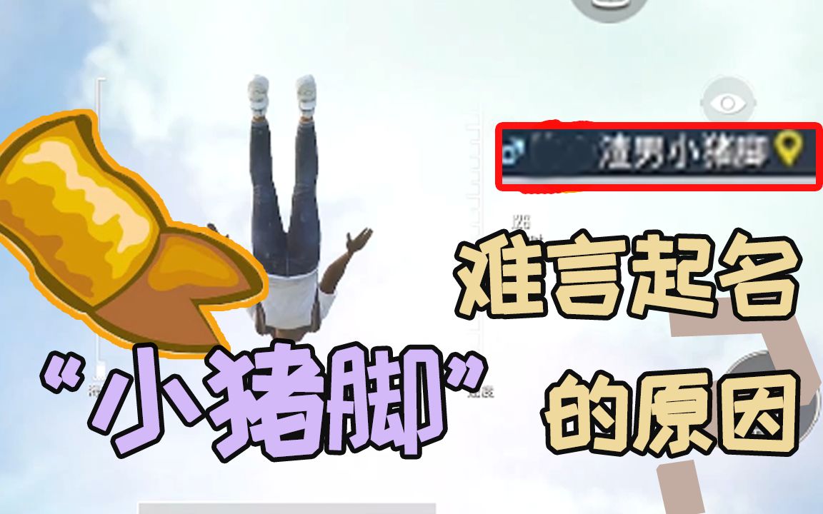 和平精英难言x为什么起名小猪脚难言一本正经胡说八道