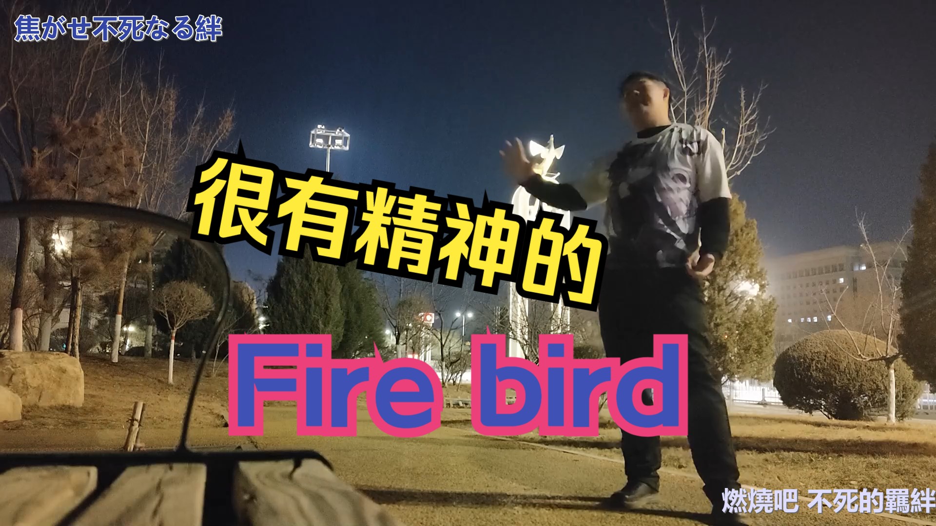 补档【全站最有精神的】Roselia - Fire Bird(MV付)