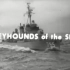海上格力犬——美国海军驱逐舰的历史