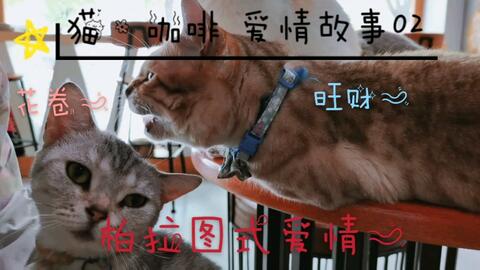 45ca90eddc898df6322927cfc2e14ba2e27da929.jpg@480w_270h_1c