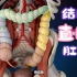 【系统解剖学】：结肠、直肠和肛管