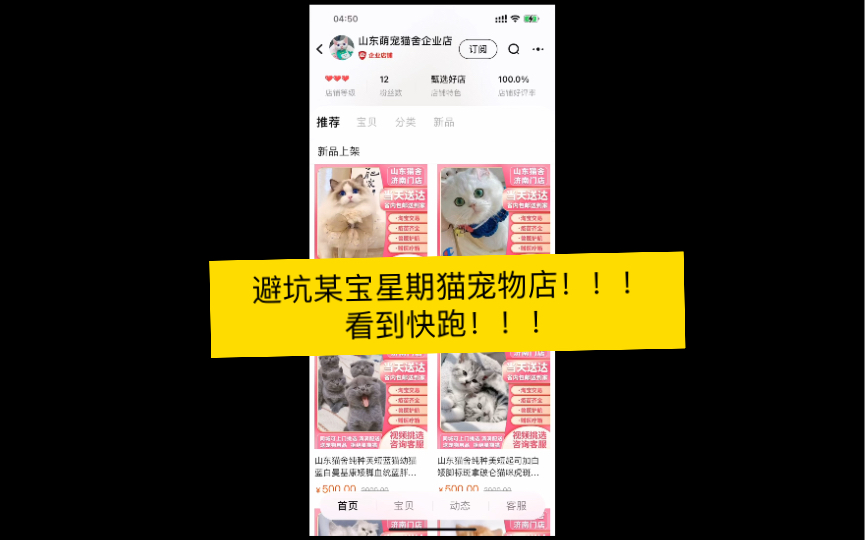 避坑某宝星期猫店!无售后的后院猫,无良德的猫贩子!哔哩哔哩bilibili