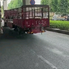 小马拉大车