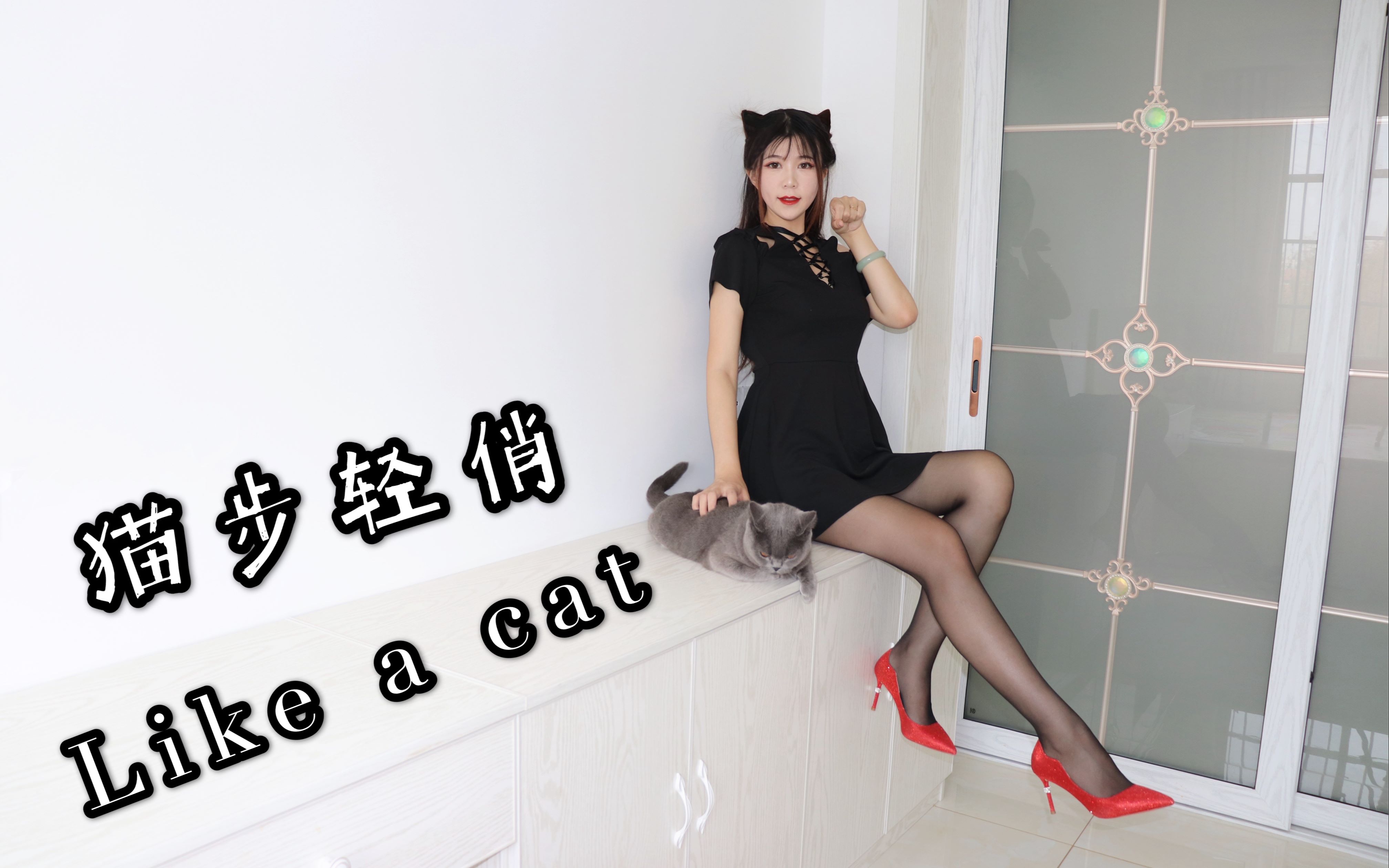 【缎子】《Like A Cat》猫步轻俏 核酸检测后被隔离在家的小胖猫_哔哩哔哩_bilibili