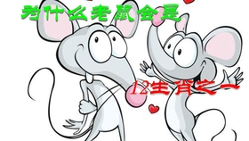 45f39cdeccc998b04647048141ff7f29d16398a6.jpg@280w_158h_1c_100q.jpg