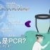 什么是PCR？| PCR包括那些步骤 | PCR的原理与应用