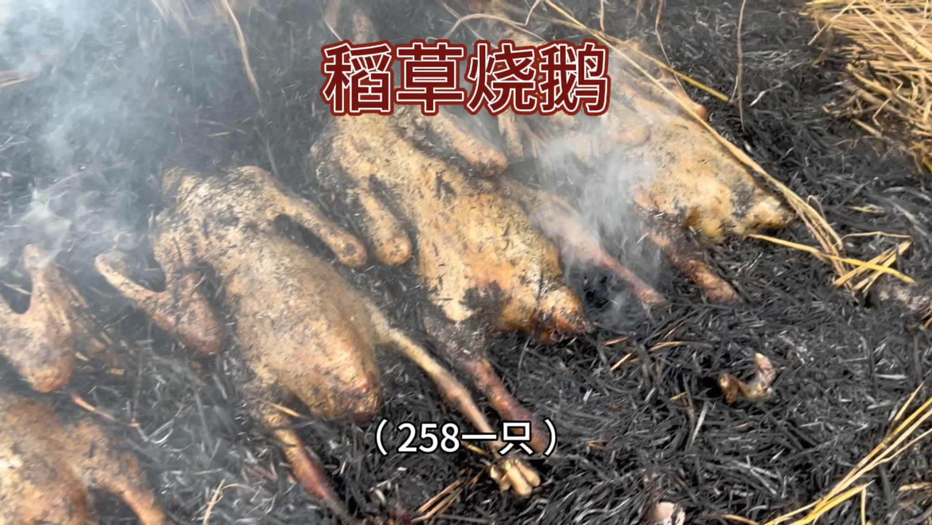 把稻草盖在鹅身上这么一做，大鹅皮焦肉嫩，还自带一股浓郁稻香～这种农村老做法，满屏都是烟火气。