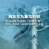 网友在九寨沟拍到，游泳动作丝滑的“不明生物” 景区：系国家二级保护动物欧亚水獭