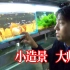 中国鱼协总教头亮哥超详细教你如何养好红箭，火炬鱼和造景（下）