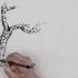 【国画】松树起手画法，连皴带勾笔墨技巧详细讲解