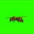 绿屏幕抠像蜜蜂视频素材