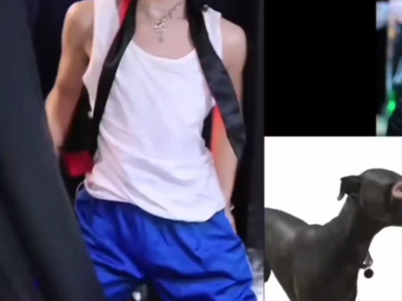 又封禁一天，大梦想家奶狗弟弟拼了，QB直接抬走了..