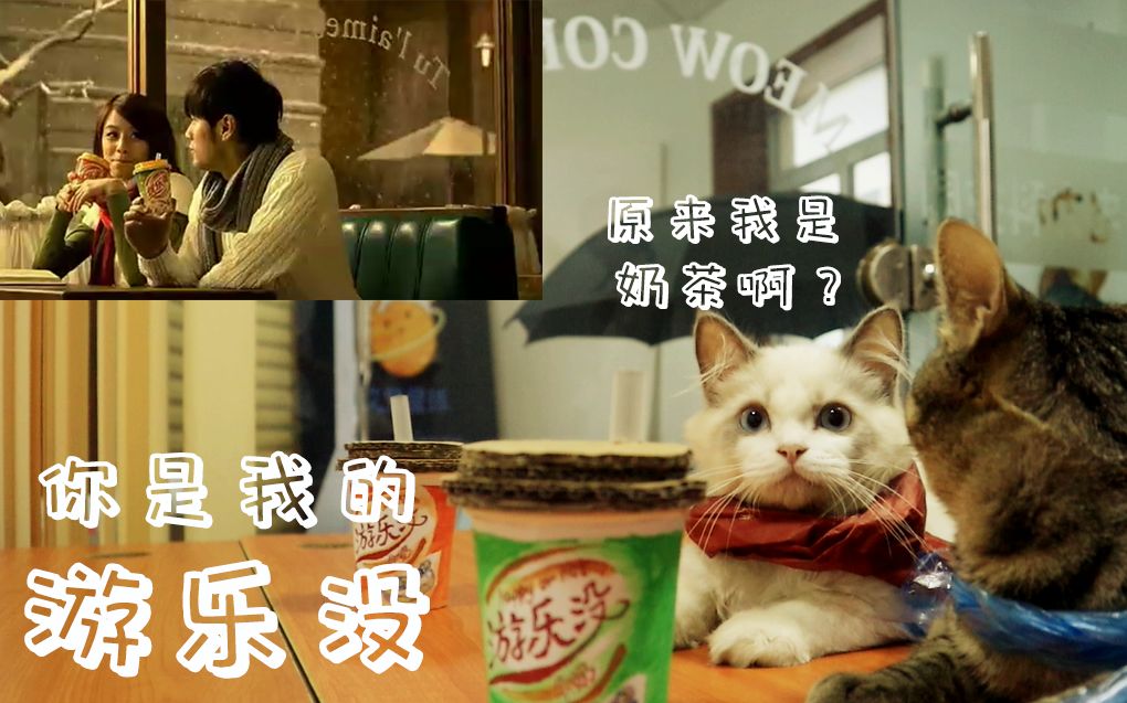 神还原优乐美奶茶震惊两只猫咪竟然在办公室模仿周杰伦两毛剧组再发力