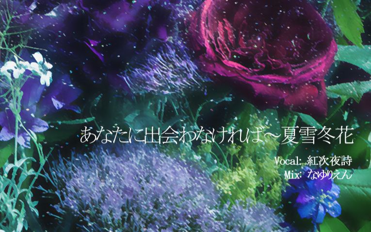 红老湿「あなたに出会わなければ～夏雪冬花～」