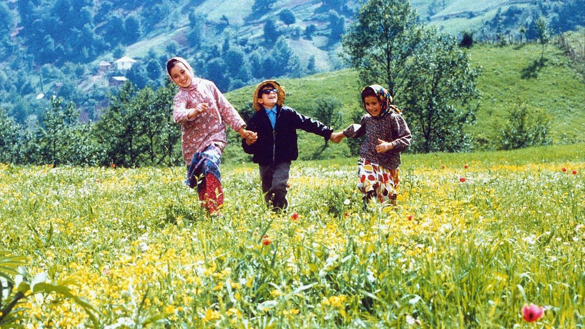 高清修复《天堂的颜色》 一个盲童的世界：看见，不等于理解；失明，不等于无知。