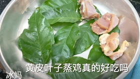 46ae155b6bc354252a06407580fb9dfb07db8080.jpg@280w_158h_1c_100q.jpg