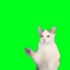 猫猫跳舞绿幕抠图