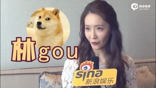 46d68b8ab802085f1589fa1e26b568c63a533201.jpg@310w_174h_1c_100q.jpg
