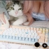 这颜值也太顶了吧~说！看猫咪还是看这个奶蓝色键盘！虎八兔D68秋月宴三模机械客制化键盘开箱分享评测 暮山紫轴 键盘打字音