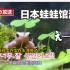 【日本最大蛙馆探店】多种超可爱的蛙蛙 散心出游+周边扭蛋