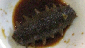 46f959db4ca7c2005d8526139fd9da027bbe78fe.jpg@280w_158h_1c_100q.jpg