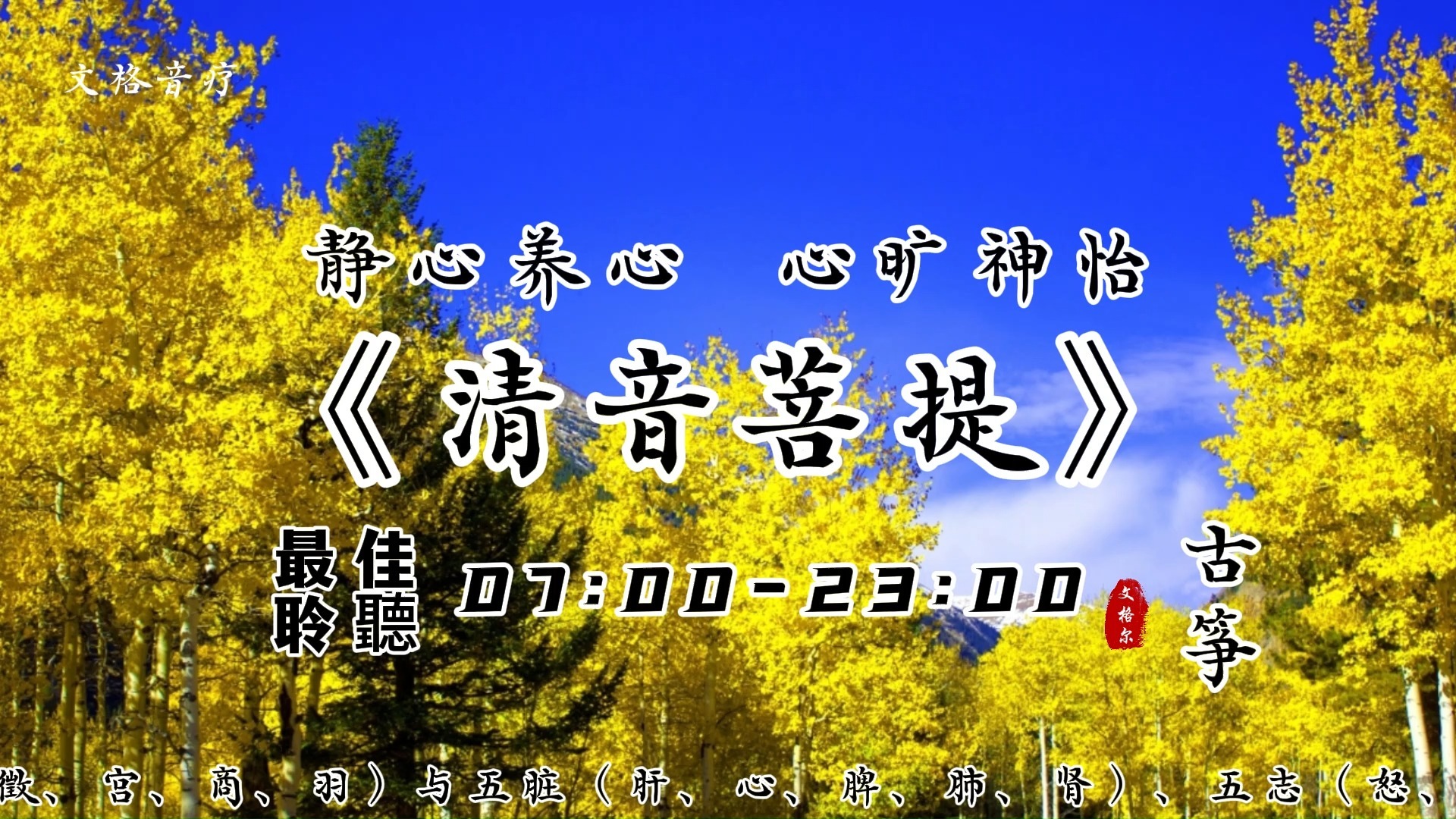 【五音疗疾】改善午后专注力，缓解肩颈僵硬，能提升脾胃运化功能多听《清音菩提》增强工作记忆容量,五脏相音,静心养心，心旷神怡,古筝曲经典太极拳音乐