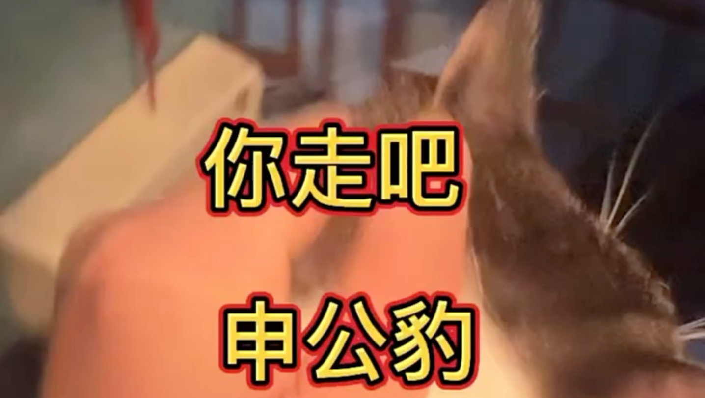 申公豹是如何气的主包想扔掉他的