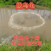 鱼群上浮不吃钩，换个装备吃不完，揭秘下雨刚涨的水为什么会有鱼