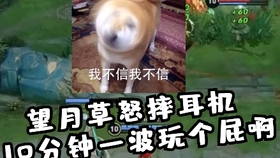 什么叫配合默契 471cd8a5b66445322e173e614931c1e50aeaee42.jpg@280w_158h_1c_100q.jpg