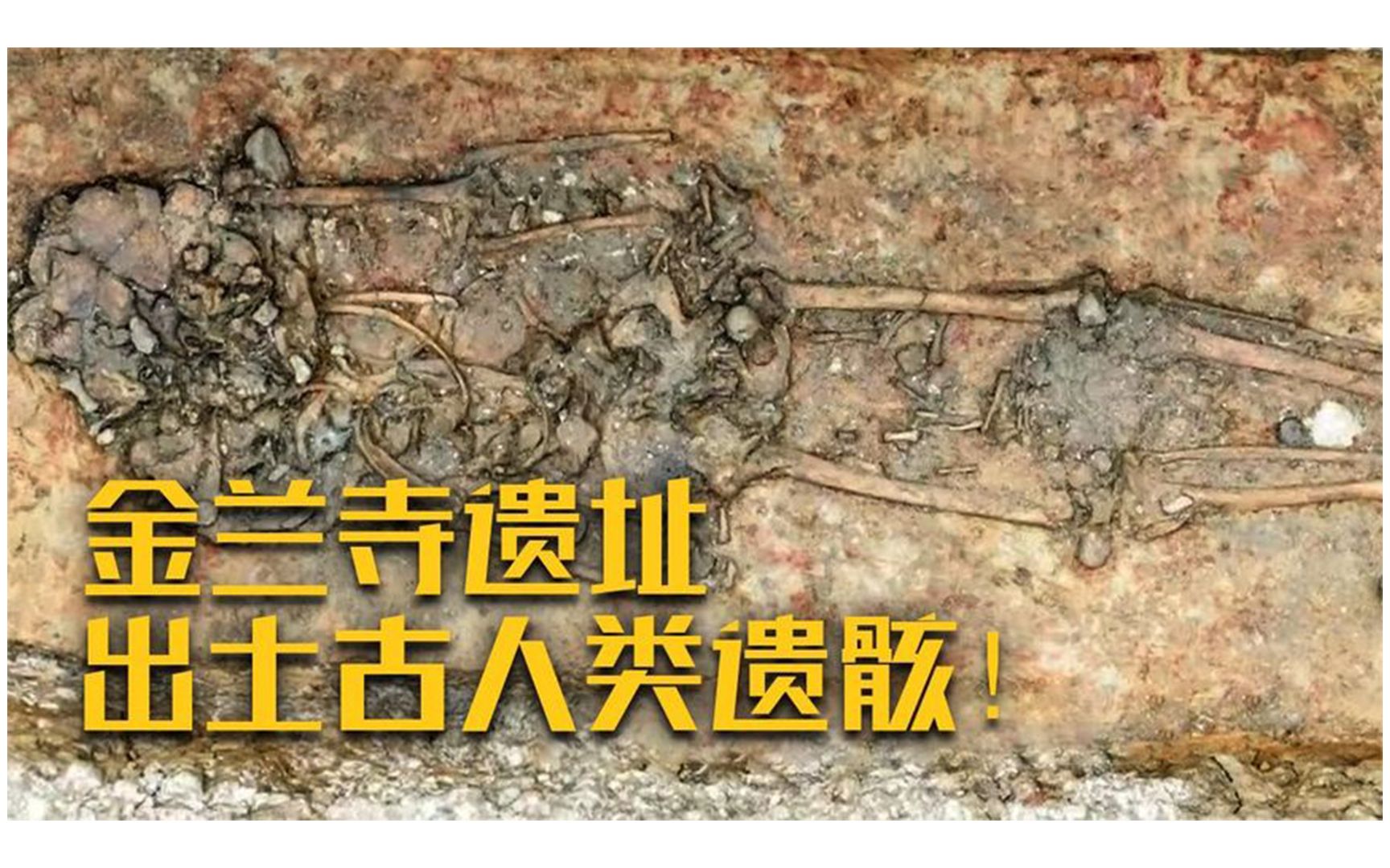 金兰寺遗址:金兰寺遗址现墓葬32座,探秘4000年前"广州人"生活