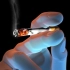 【3D演示】吸烟有害健康（原版+字幕版）