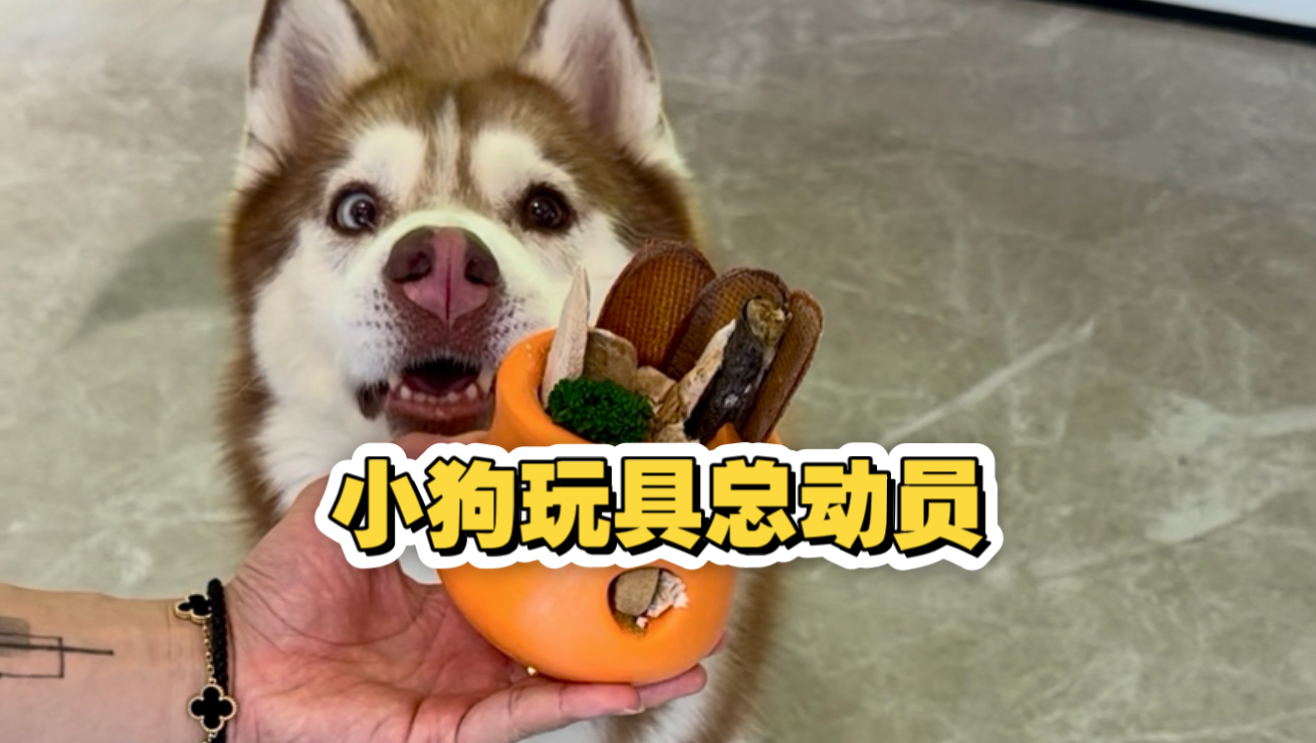 狗：吃你点东西咋那么费劲呢