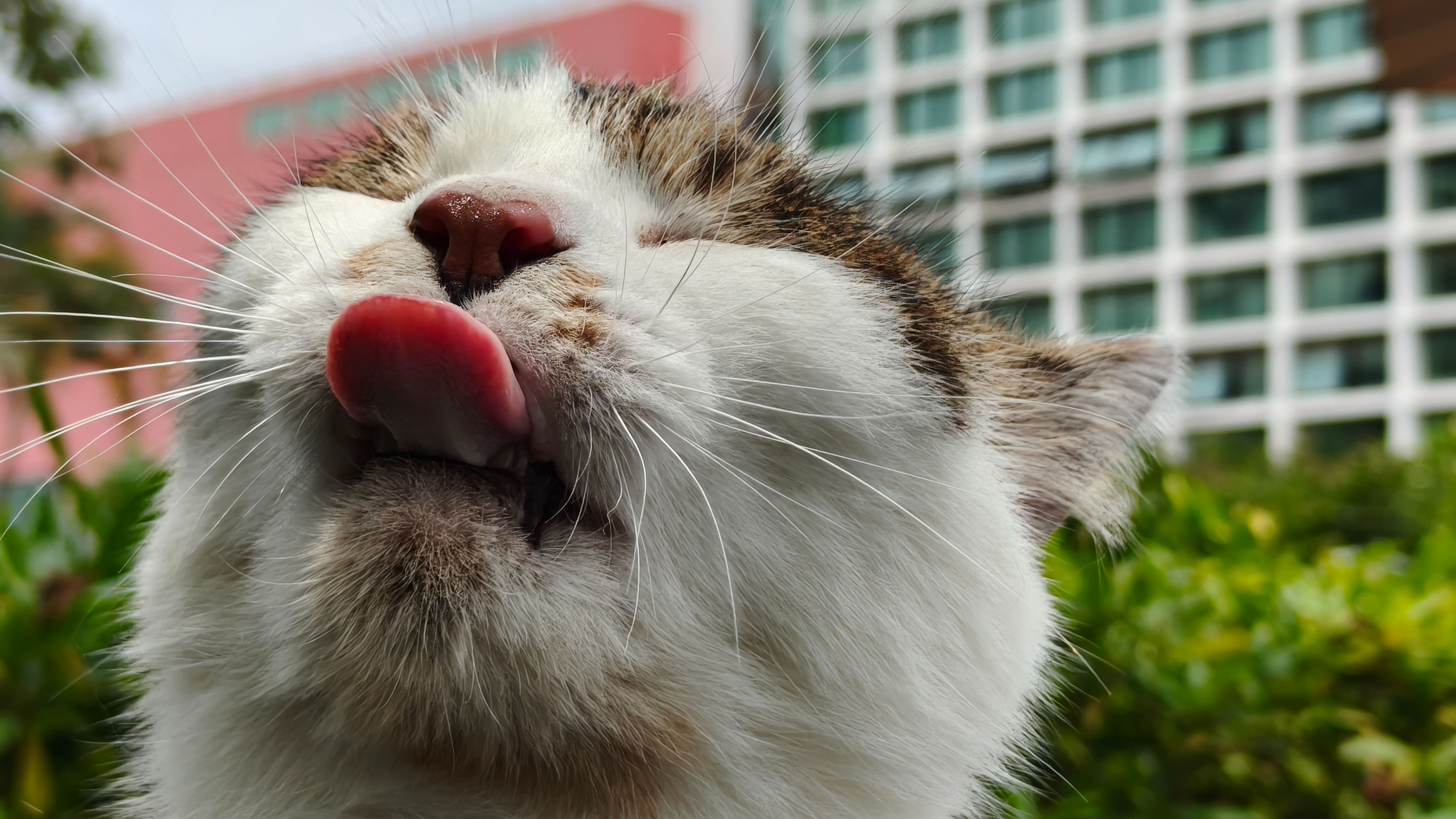 “我的毕业致谢有你的名字”