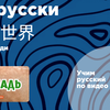 马是一种怎样的动物