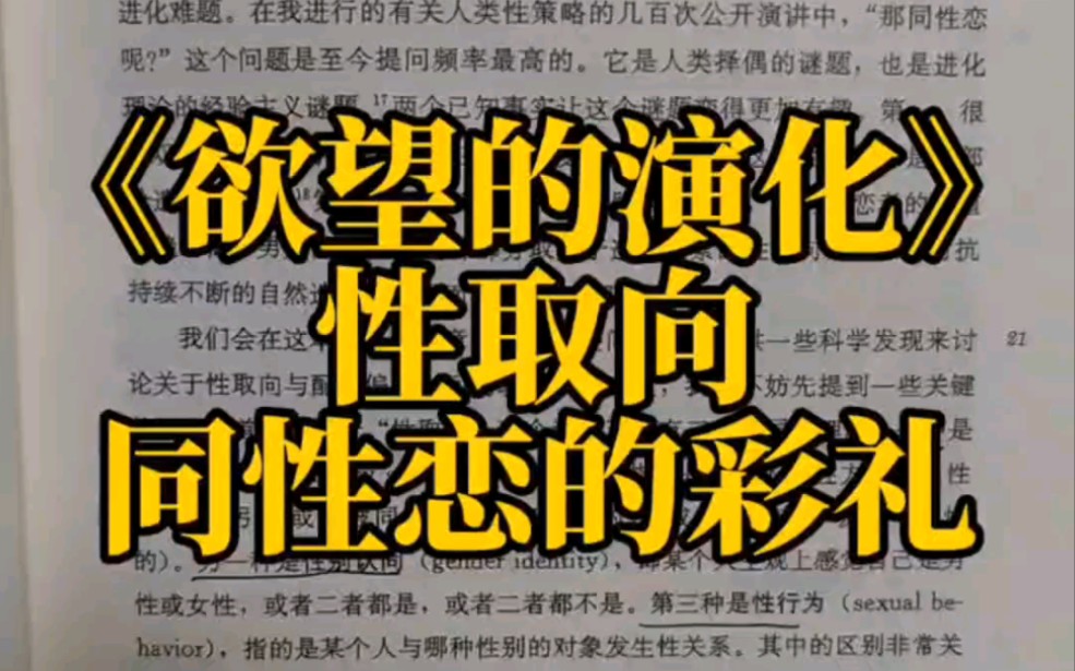 女同性恋结婚,因为彩礼纠纷悔婚,并以青春损失费为由,拒不退还彩礼.《欲望的演化》性取向的拓展.2哔哩哔哩bilibili