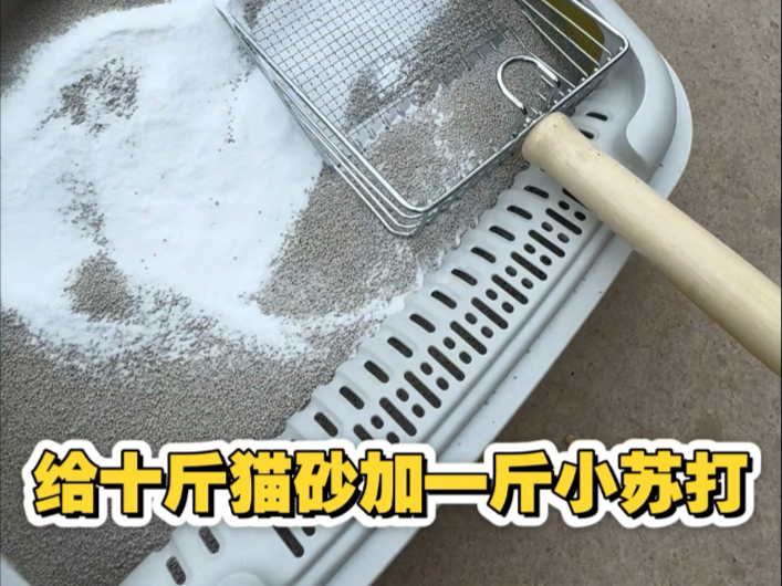 猫砂里放小苏打有除臭作用吗