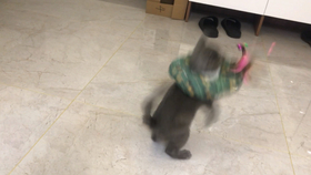 怎么出拳更快 47d42fdce777bca2b88841cbdb9cb3f03e21e9c4.jpg@280w_158h_1c_100q.jpg