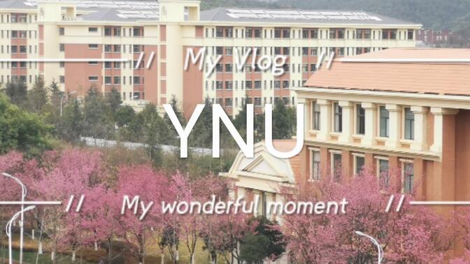 中国最美高校TOP10——云南大学：那些你匆匆路过的风景，竟然是这样的？
