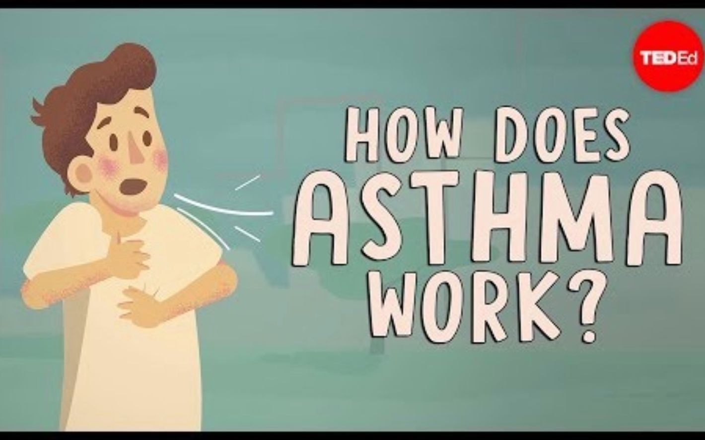 【TedED】气喘的发病原理 How Does Asthma Work哔哩哔哩bilibili