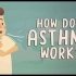 【Ted-ED】气喘的发病原理 How Does Asthma Work