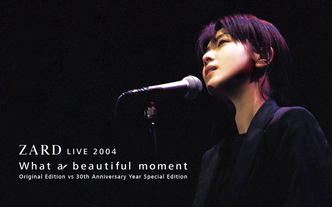 ZARD What a beautiful moment Tour 写真集 - ミュージシャン