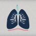 初中生物 七下 呼吸系统-肺部
