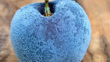 谁知道这是什么水果？