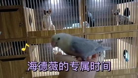 4813e88cd51cb8b38612ab9d41ba7b271a9d27c8.jpg@280w_158h_1c_100q.jpg