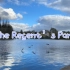英国留学｜The Regent’s Park 摄政公园照片合集