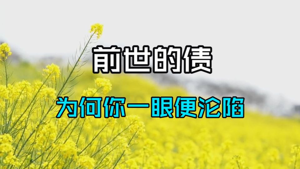 为何你一眼便沦陷？佛说：那非心动，是前世的债。