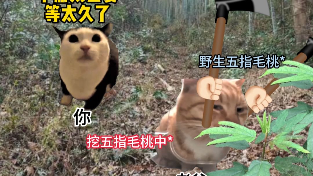 清明祭祖时的几种意外收获