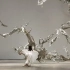 张娅姝舞蹈表演 郑路雕塑作品
